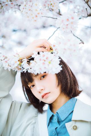 免费在线观看三年全集！哔哩哔哩资源大揭秘？